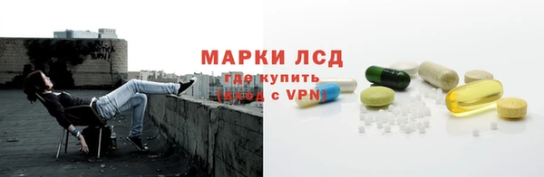 сатива Алзамай