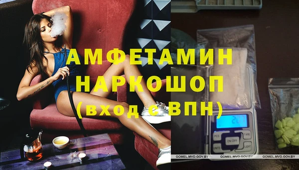 сатива Алзамай