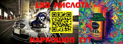 мяу мяу мука Владикавказ