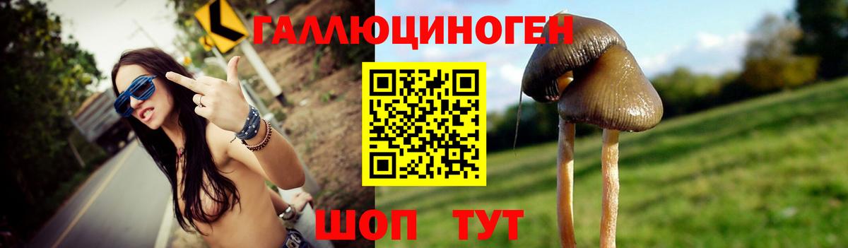 Галлюциногенные грибы прущие грибы  Псилоцибиновые грибы Psilocybine cubensis  Белореченск  Вход с VPN 