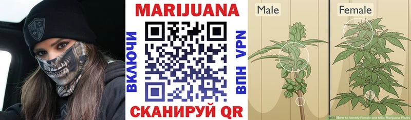 kraken tor  Белореченск  Каннабис THC 21% 